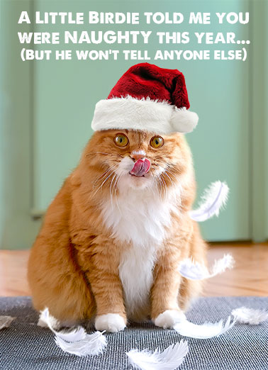 Little Birdie XMAS ai Funny Christmas   Picture of a cat wearing a Santa hat talking about a little bird who said you've been naughty. | Santa bird little christmas merry xmas cat feline wear feather eat hunt silence witness list naughty nice holiday gift present Merry Christmas